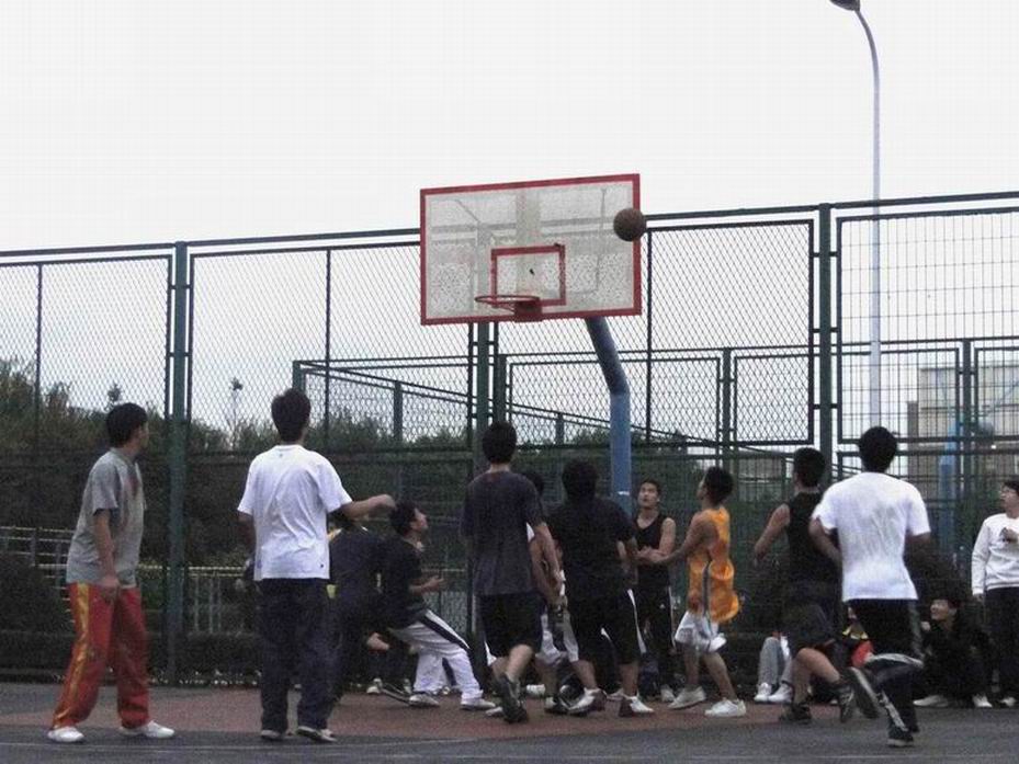 天天体育安全通道图片