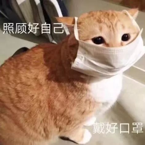 天天体育官方线路