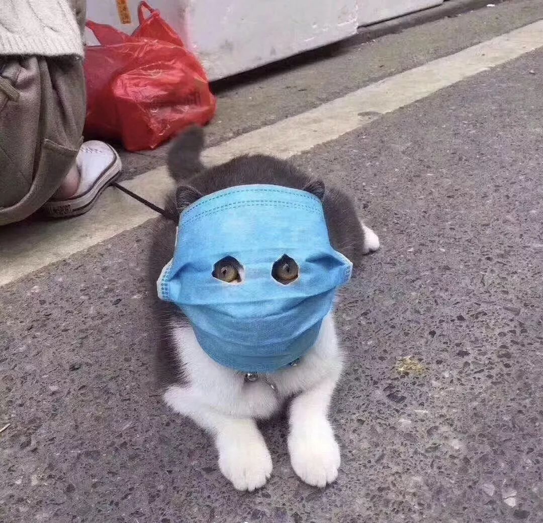 天天体育NBA频道